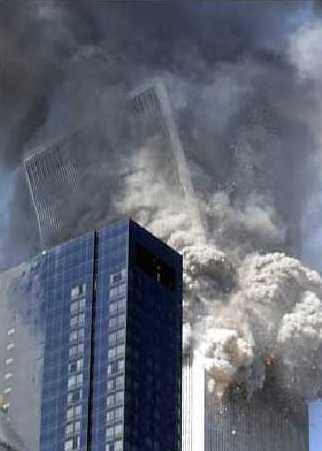 911day Photographs - Shapelinks Way Of Life - Photo One Hundred Seventeen