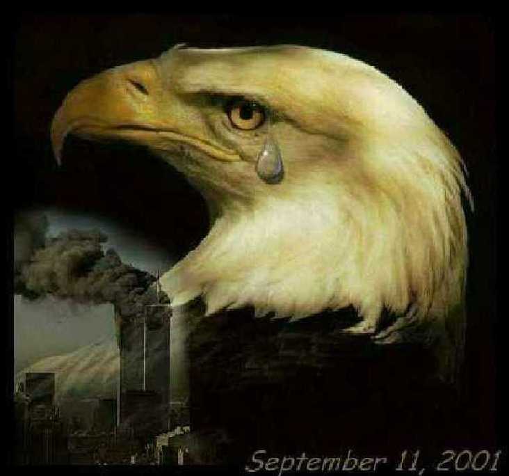 911day Photo Tributes - Shapelinks Way Of Life - Photo One Hundred Thirty-Five