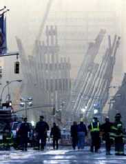 911day Photographs - Shapelinks Way Of Life - Photograph Number One Hundred Thirty-Seven