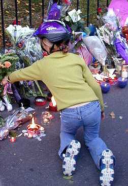 911day - Shapelinks Way Of Life - Photograph Fifteen