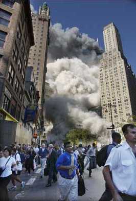 911day Photographic Memories - Shapelinks Way Of Life - Photo Forty-Two