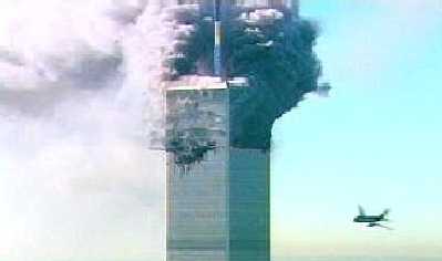 911day - Shapelinks Way Of Life - Photo Six